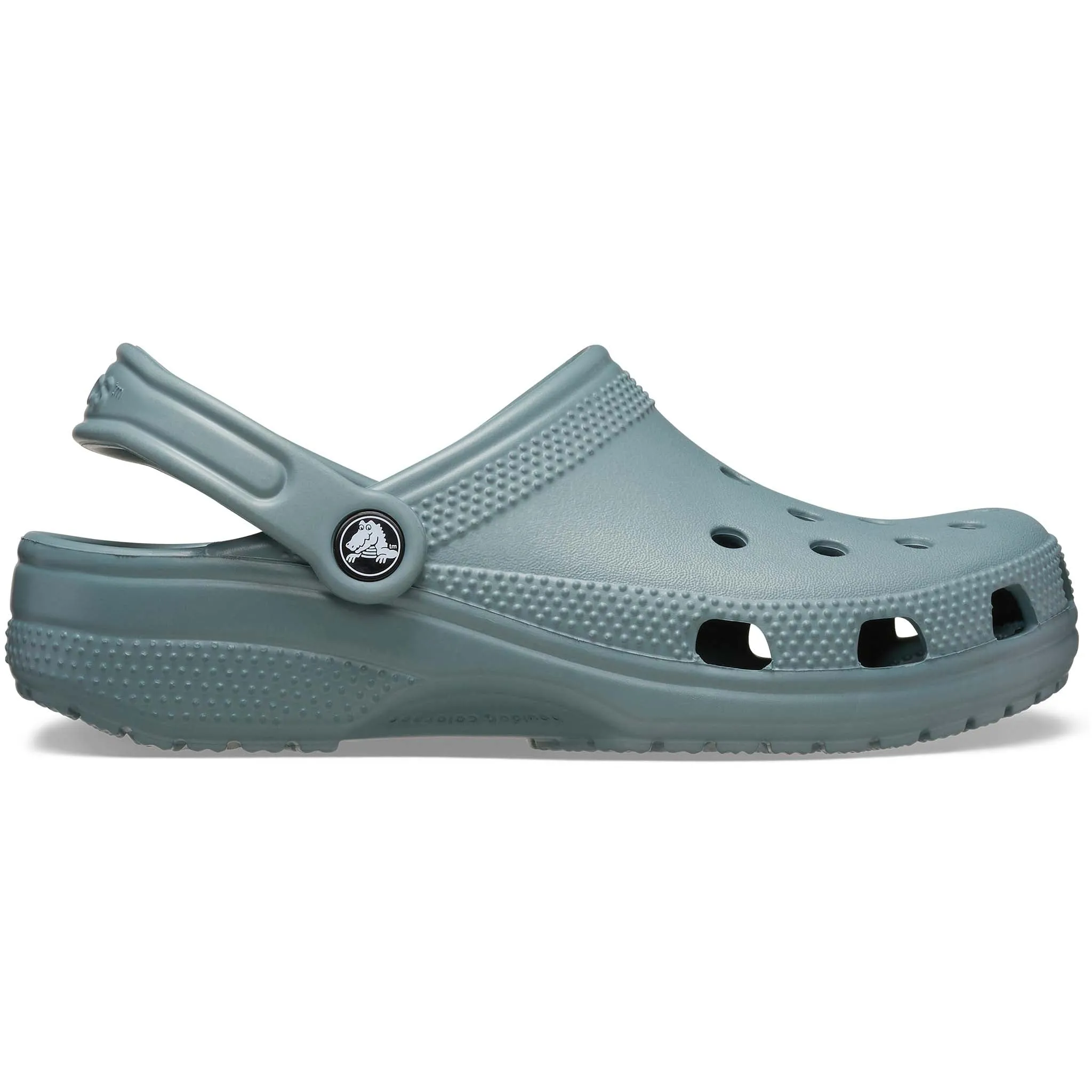 Adult Classic Clog in Pond